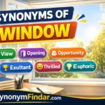 Synonyms of Window