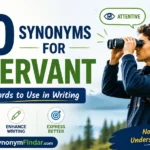 50 Synonyms for Observant