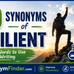 50+ Synonyms of Resilient